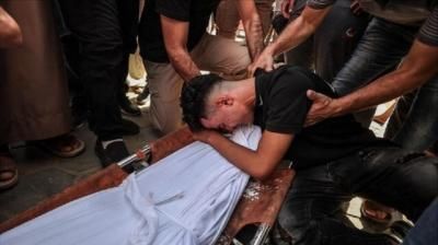 أخبار اليمن : ارتفاع عدد شهداء غزة إلى 40 ألفاً و223