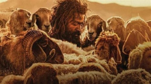 كاتب سعودي: فيلم حياة الماعز لم يكن منصفًا