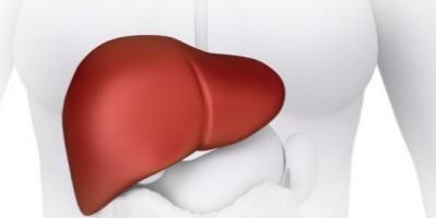 علامات تحذيرية في جسمك تنذرك أن كبدك في خطر.. انتبه تعرضك للموت المبكر