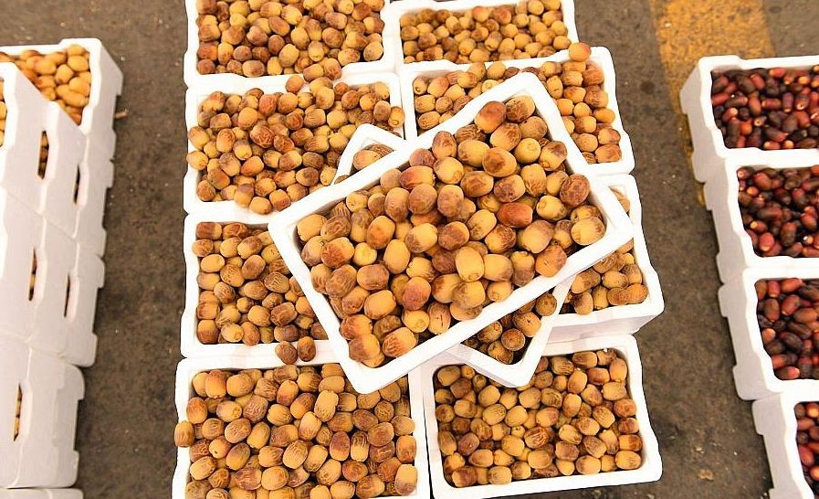 هذا ما يحدث لجسمك إذا تناولت 3 تمرات يوميًا!