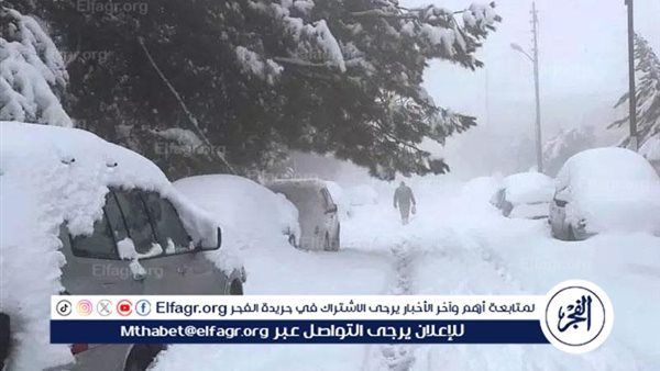 عاجل - ليلى عبد اللطيف تُصدم العالم: عواصف وثلوج تضرب مصر والدول العربية.. وشتاء 2025 سيكون الأعنف في التاريخ