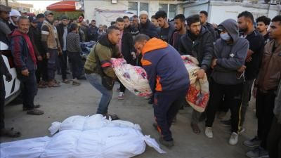 أخبار اليمن : عدد الشهداء في غزة يتجاوز 41 ألفاً