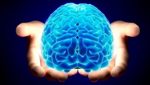 يا ريتني عرفته من زمان… مكون منزلي يساعد في تقوية الذاكرة ويمنع النسيان جربه بنفسك!