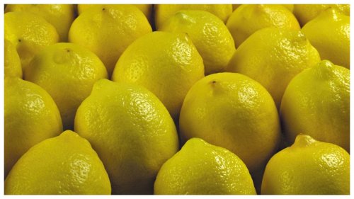 كيلو الليمون يصل إلى 60 قرشاً بالسوق المحلي