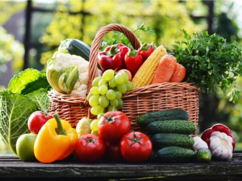 إربد .. 1200 طن خضار وفواكه ترد للسوق المركزي السبت