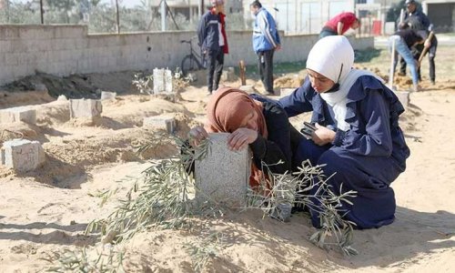 24 شهيدا بـ3 مجازر في غزة خلال 24 ساعة