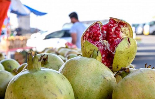 رمان الباحة يغزو أسواق السعودية سنويًا بكميات كبيرة