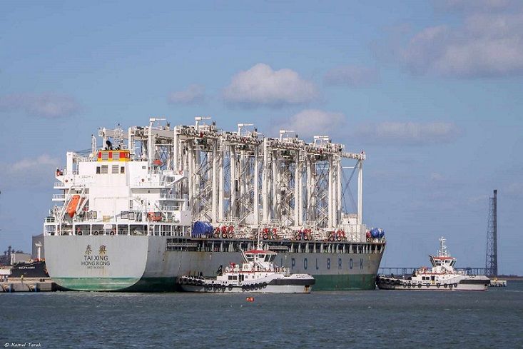 بدء تنفيذ البنية الفوقية لمحطة حاويات “تحيا مصر…