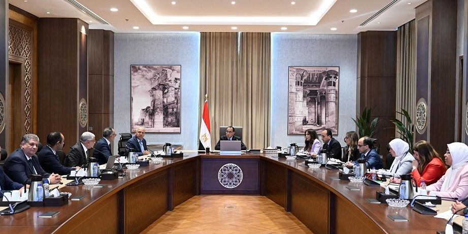 المصرية العالمية تخطط لاستثمار 100 مليون دولار في تصنيع…