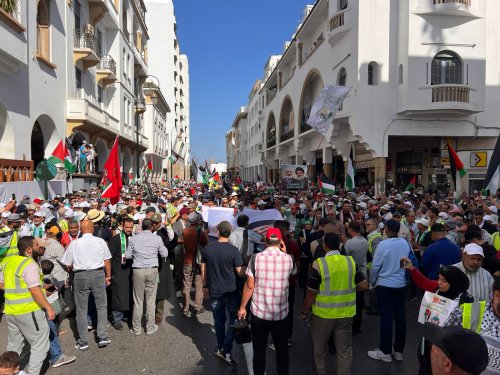 فيديو حصري وصور .. مسيرة حاشدة بإربد في الذكرى الأولى لطوفان الأقصى