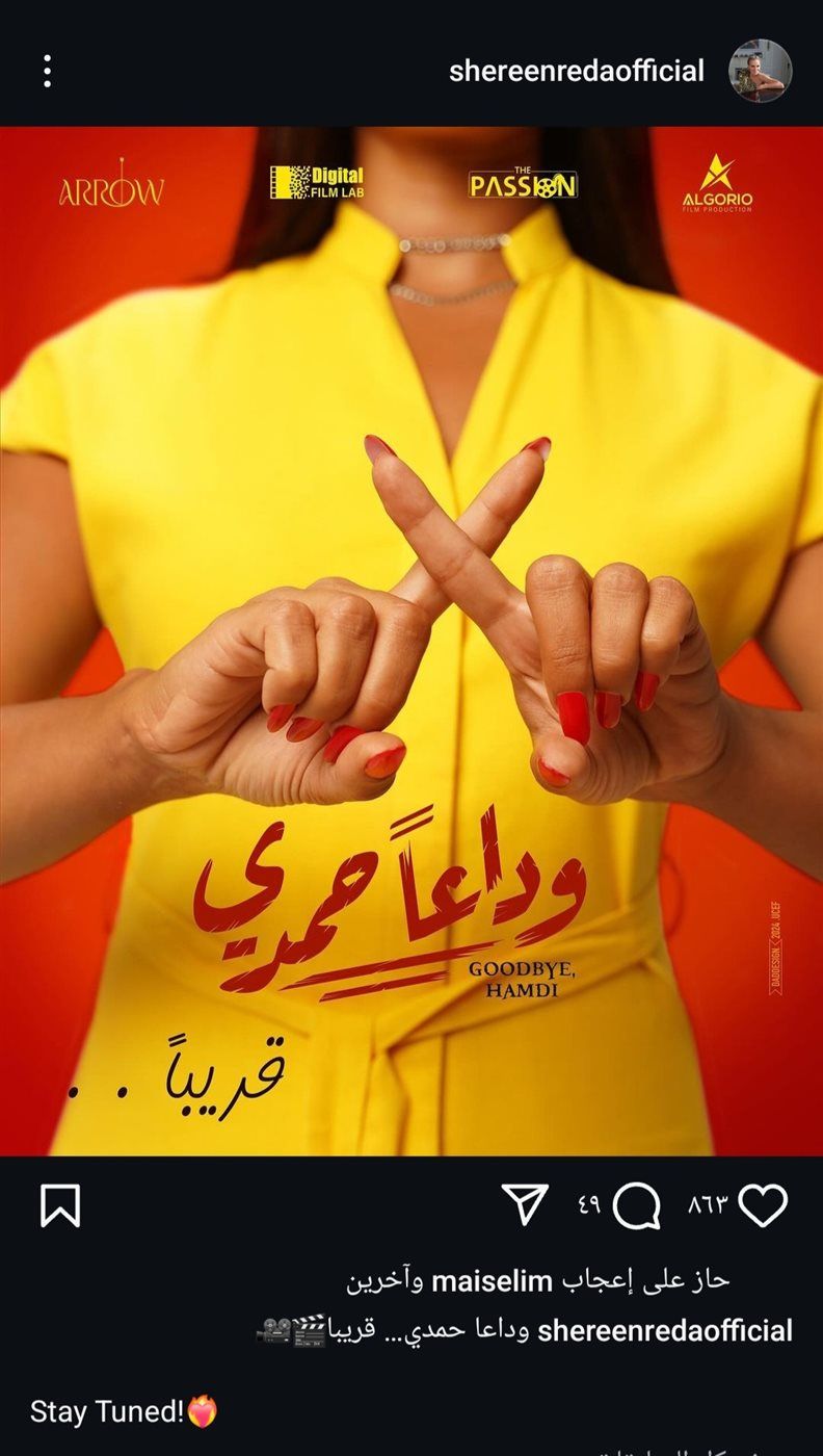 صورة.. تعرف على أحدث أعمال شيرين رضا