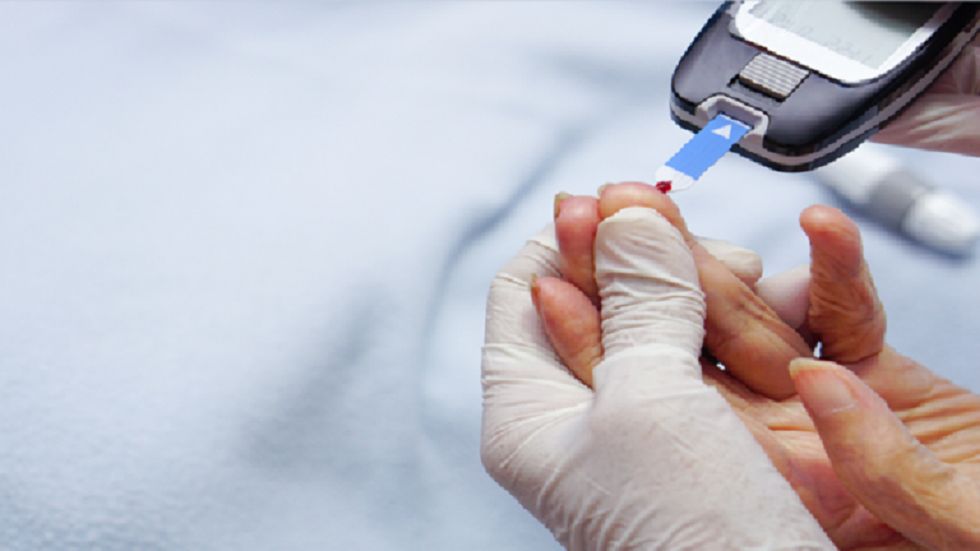 اذهل العالم ..اكتشاف زهرة تخفض مستوى السكر في الدم"صورة