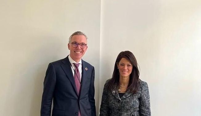 وزيرة التخطيط تبحث تطورات مشروعات سكاتك النرويجية في مصر