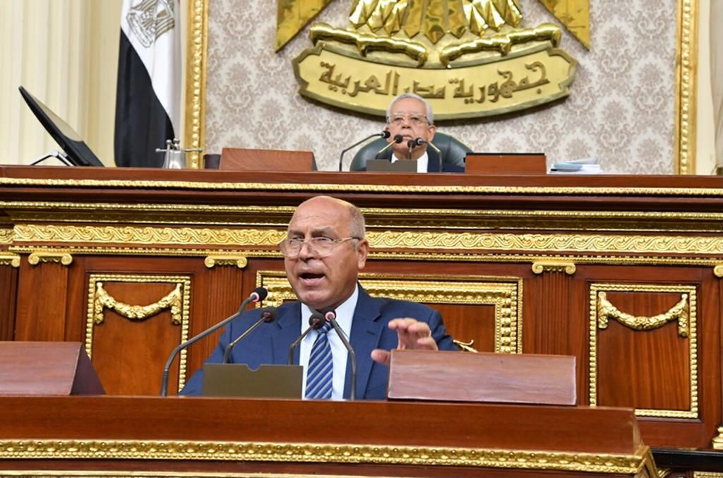 أهم ما جاء في كلمة وزير الصناعة أمام مجلس النواب