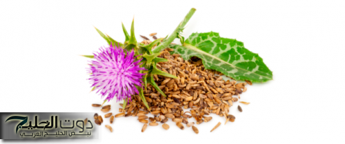 "أقوى من ابر الأنسولين بشهادة الدكاترة".. عشبة معجزة من السماء برخص التراب تخفض السكر التراكمي في الدم خلال 20 دقيقة فقط.. "هتخلصك من كل مشاكلك "!!