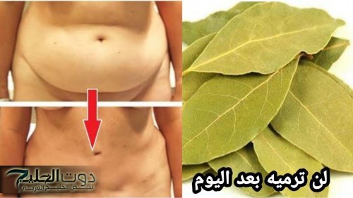 تسلم دماغ اللي اخترعها.. معجزة ورق الغار ستجعل بطنك مسطحا وشعرك طويل وخالي من الشيب المبكر.. طريقة الاستخدام