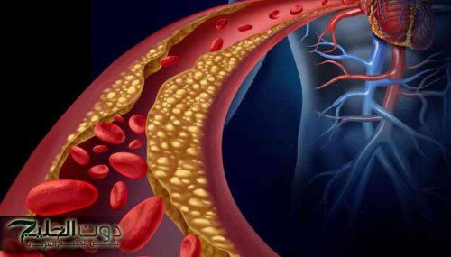 يقي من السرطان.. مكون غذائي لن تتوقعه يحمي كبدك وكليتك من مرض خطير