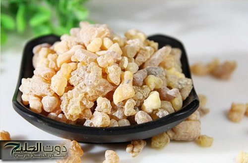 “شكلك هيبان أصغر بكتير” هذا المكون السحري الغني بالكولاجين سيعيد لك شبابك وكأنك لا تكبرين