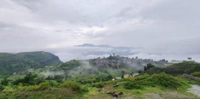 أخبار اليمن : احذروا.. أمطار وسيول واضطراب البحر