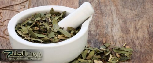 شعرك هيعدي ركبتك من طولة!!... عشبة سحرية لتطويل وتكثيف الشعر في اقل من اسبوع واحد من الاستخدام!