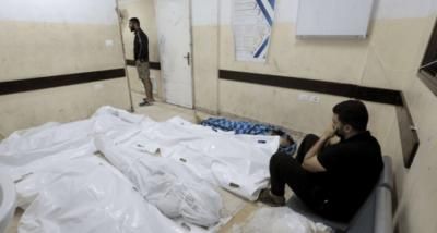 أخبار اليمن : أكثر من 770 شهيداً في جباليا خلال 19 يوماً