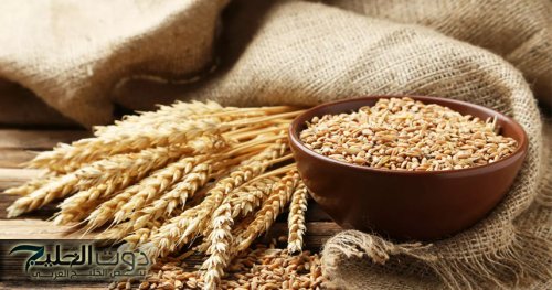 طرح عطاء لشراء كميات كبيرة من القمح