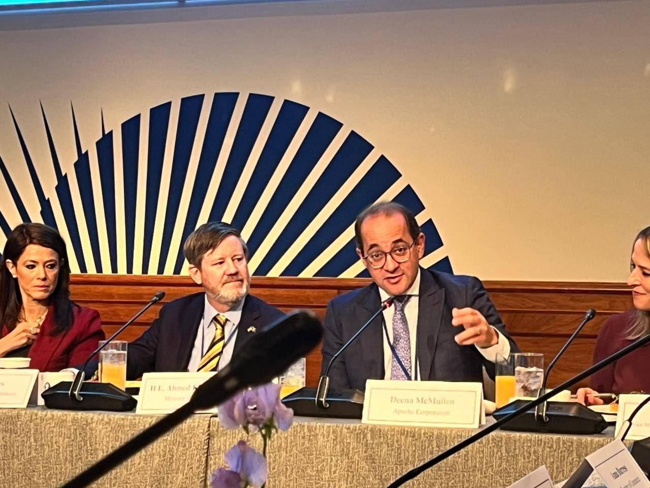 وزير المالية: نعمل مع وزارة الاستثمار على خفض الأعباء وتوحيد…