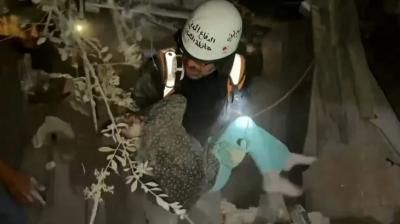 أخبار اليمن : مجزرة إسرائيلية جديدة في بيت لاهيا