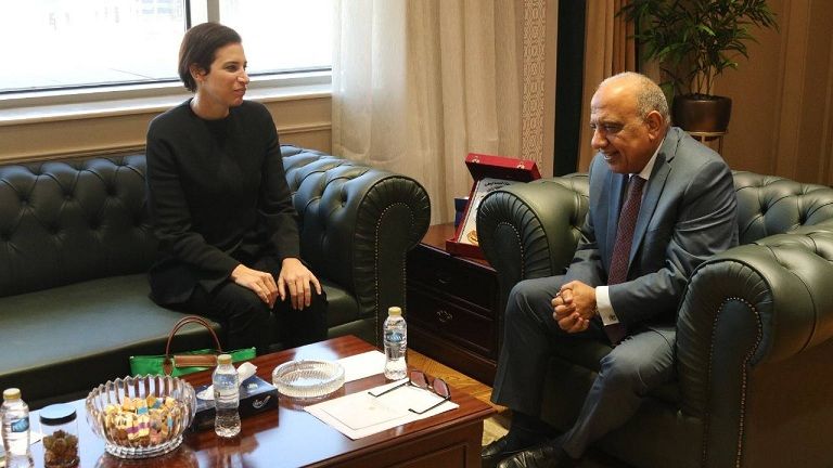 محمود عصمت: متابعة مستمرة لإنجاز مشروع الربط الكهربائي مع…