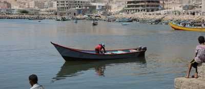 أخبار اليمن : السمكية تدين منع صيادي المهرة من ممارسة مهنتهم