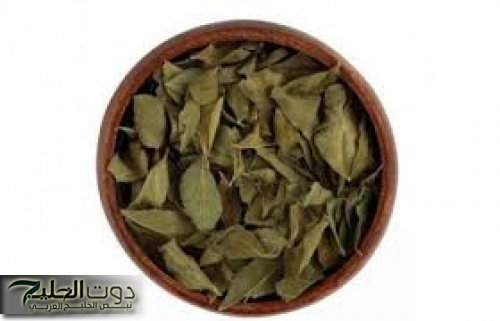 العشبة المعجزة من قلب السعودية.. تمتص السكر في الدم بثلاثة أضعاف قوة إبرة الأنسولين!