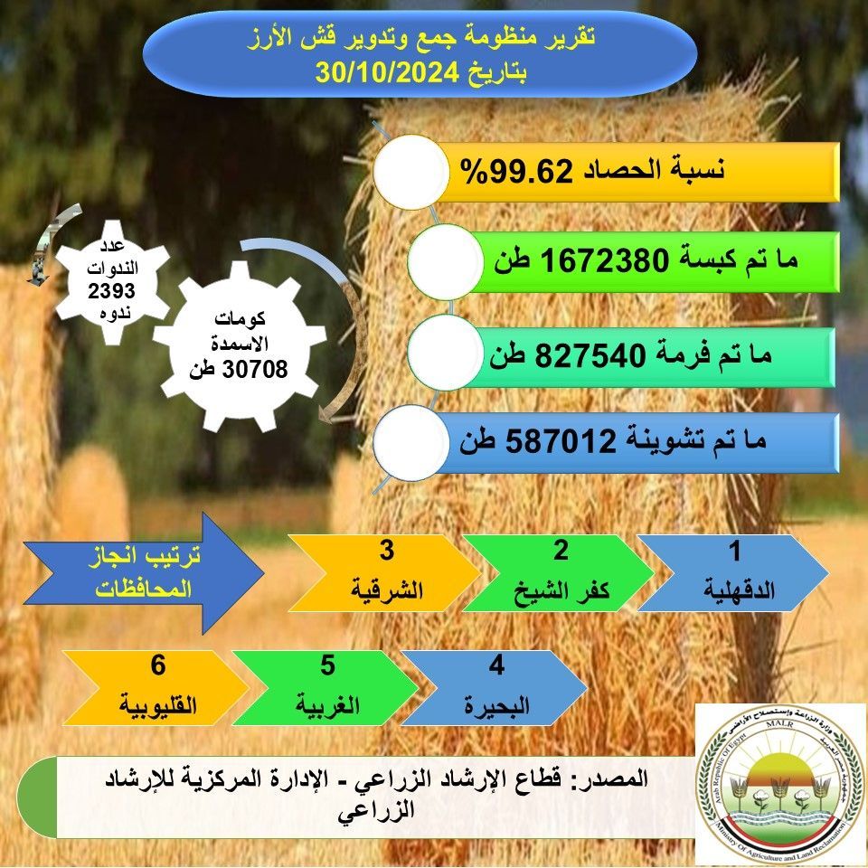 الزراعة: حصاد 99.62% من المساحات المنزرعة بالأرز وأكثر من…