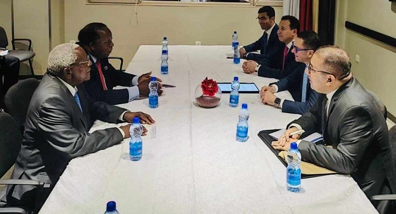 وزير الاستثمار يبحث فرص التعاون الاقتصادي مع زامبيا