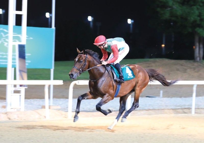 وسام للخيالة السلطانية يحقق المركز الأول فـي شوط التكافؤ للخيول العربية الأصيلة