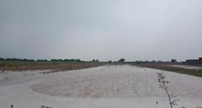 أخبار اليمن : الطقس في اليمن.. أمطار متفرقة وأجواء بادرة