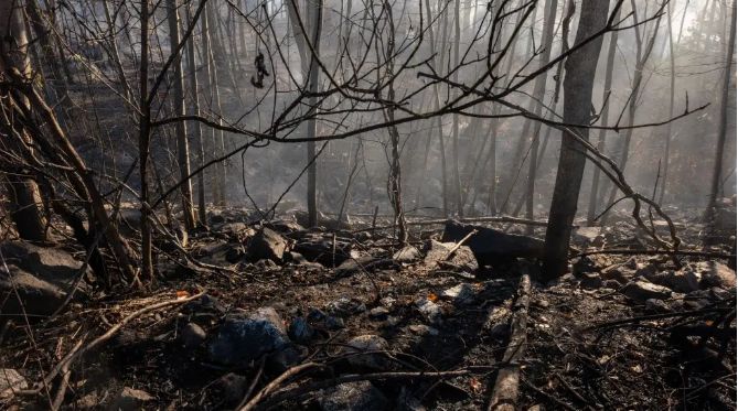 أزمة المناخ تكلف الاقتصاد العالمي تريليوني دولار العقد…