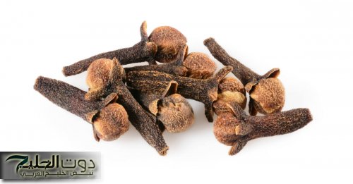 "طبيب من القاهرة قاللي عليها".. استخدمي 5 حبات من القرنفل بتلك الطريقة لمدة 7 أيام وشاهد ماذا يحدث لجسمك.. طريقة الإستخدام!!