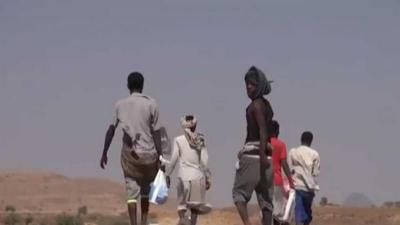 أخبار اليمن : 6364 مهاجر أفريقي وصلوا اليمن في شهر