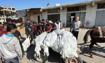 أخبار اليمن : حصيلة شهداء غزة تتخطى 44 ألفاً