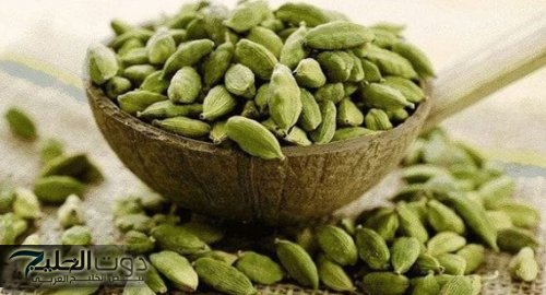 "لاقيت دهب في الأكل" .. مضغ حبة هيل يوميا تمدك بهذه الفوائد الصحية المذهلة