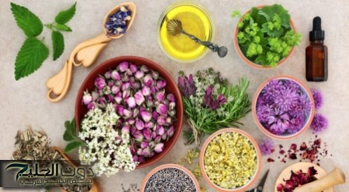 "انسي انك تعرفي تنسيها"... وبعد طول انتظار أخير الكشف عن عشبة الذكاء والذاكرة التي يستخدمها العباقرة..مفيش نسيان بعد النهارده...!!