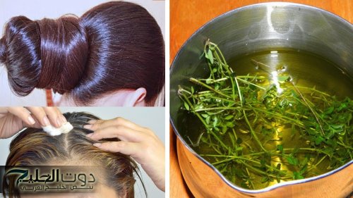 جارتي الهندية قالتلي عليها.. سر تطويل وملأ فراغات الشعر بخطوات بسيطة | «أعشاب موجودة عند العطار»