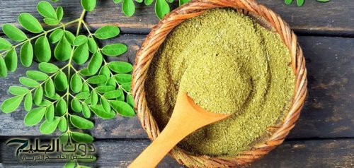 «عشبة تعالج 40 مرض..!» وتسيطر على مستوى السكر بشكل مذهل وتقوي الذاكرة وتحميك من الزهايمر ..لن تصدق ما هي!!