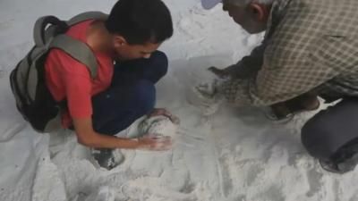 أخبار اليمن : جميع مخابز وسط غزة تغلق أبوابها