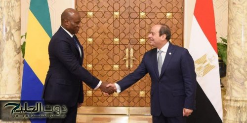 الرئيس السيسى: نقدر دور الجابون الحيوى فى قضايا تهم القارة الأفريقية