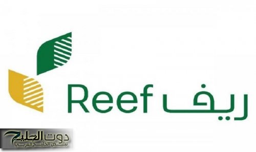 متى موعد صرف الدعم الريفي لشهر ديسمبر 2024