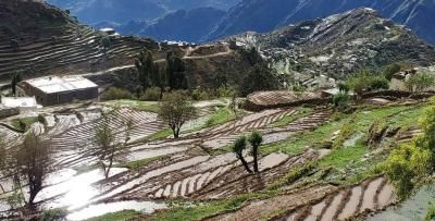 أخبار اليمن : أجواء ماطرة وباردة جداً في هذه المناطق