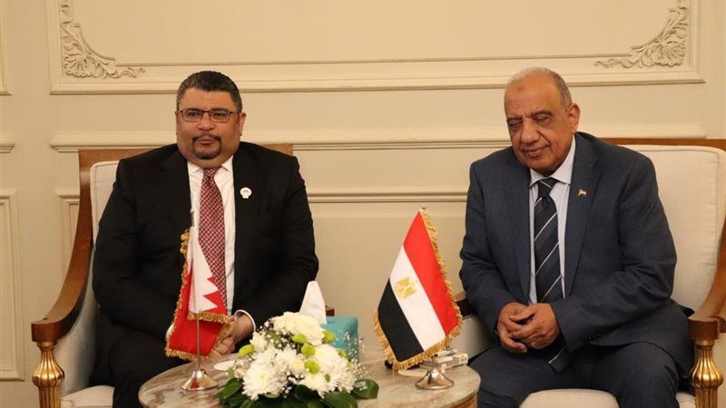 وزير الكهرباء: الدولة تهتم بدعم سبل التعاون العربي المشترك…