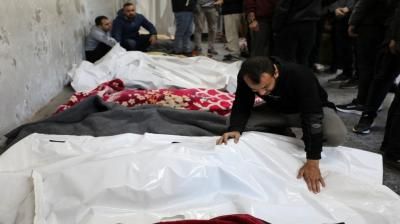 أخبار اليمن : ارتفاع حصيلة شهداء غزة إلى 44502