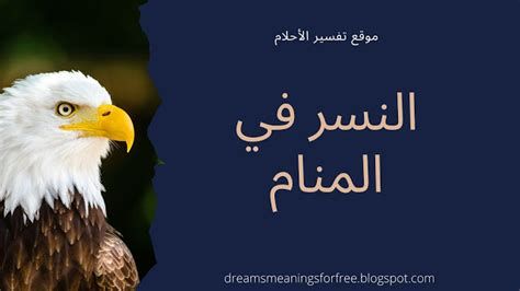 تفسير الجزيرة في الحلم معنى جزيره في المنام